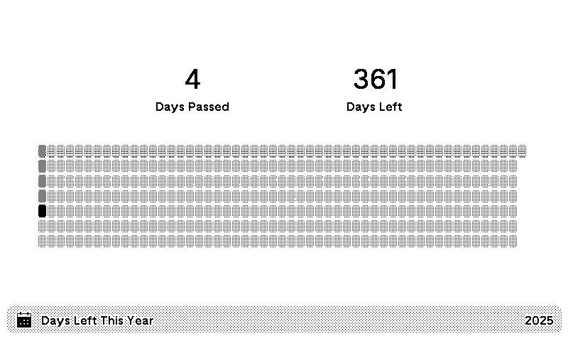 Days Left This Year